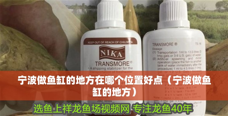 寧波做魚缸的地方在哪個位置好點（寧波做魚缸的地方）