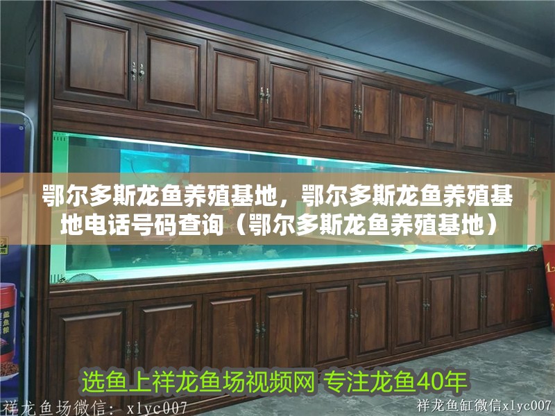 鄂爾多斯龍魚養(yǎng)殖基地，鄂爾多斯龍魚養(yǎng)殖基地電話號(hào)碼查詢（鄂爾多斯龍魚養(yǎng)殖基地）