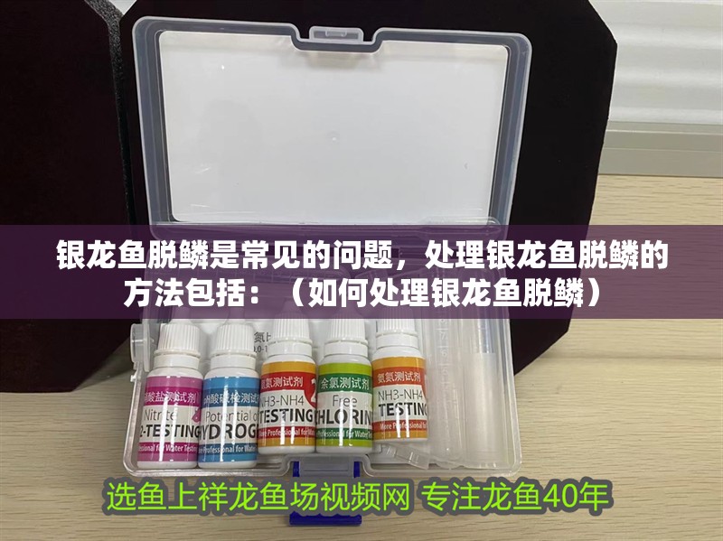銀龍魚脫鱗是常見的問題，處理銀龍魚脫鱗的方法包括：（如何處理銀龍魚脫鱗）