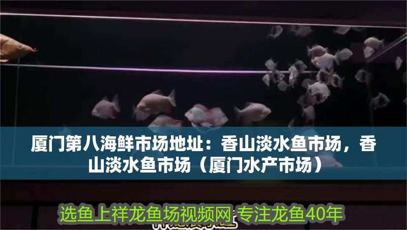 廈門第八海鮮市場地址：香山淡水魚市場，香山淡水魚市場（廈門水產(chǎn)市場）