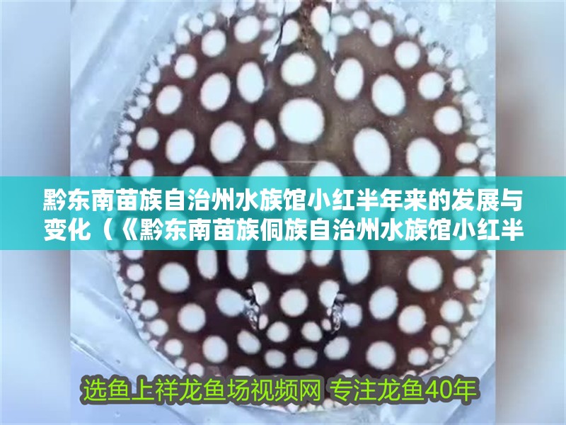 黔東南苗族自治州水族館小紅半年來的發(fā)展與變化（《黔東南苗族侗族自治州水族館小紅半年》）