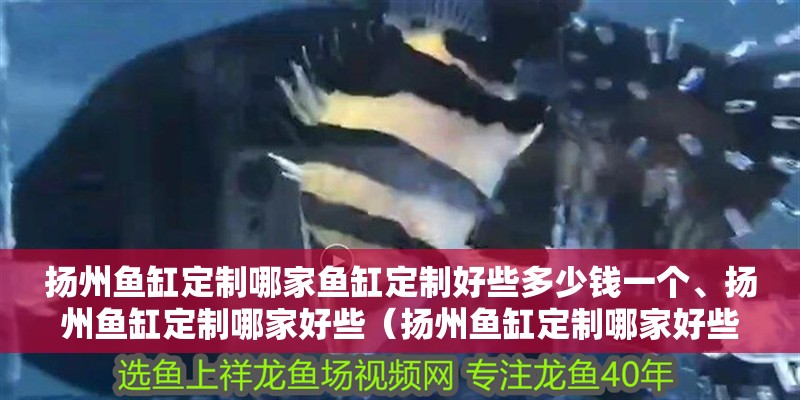 揚州魚缸定制哪家魚缸定制好些多少錢一個、揚州魚缸定制哪家好些（揚州魚缸定制哪家好些）