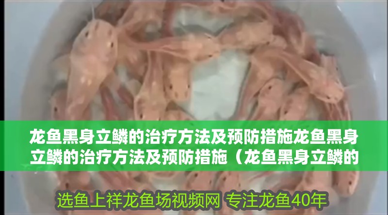 龍魚黑身立鱗的治療方法及預防措施龍魚黑身立鱗的治療方法及預防措施（龍魚黑身立鱗的治療方法）