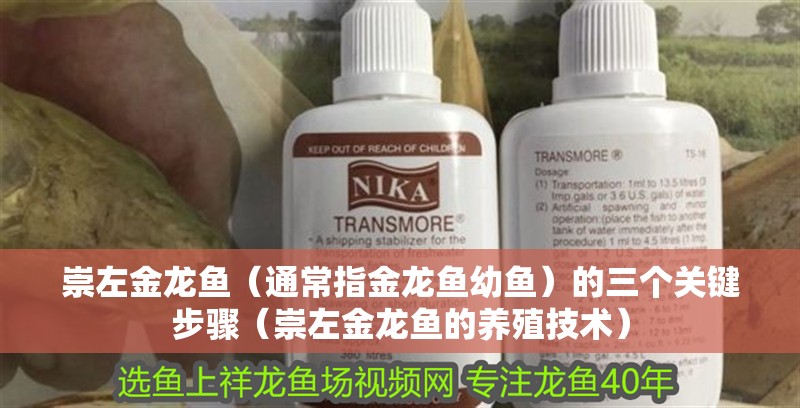 崇左金龍魚（通常指金龍魚幼魚）的三個(gè)關(guān)鍵步驟（崇左金龍魚的養(yǎng)殖技術(shù)）