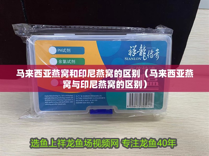 馬來西亞燕窩和印尼燕窩的區別（馬來西亞燕窩與印尼燕窩的區別）