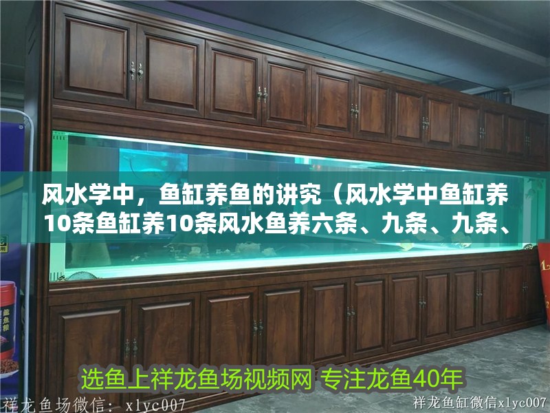 風水學中，魚缸養魚的講究（風水學中魚缸養10條魚缸養10條風水魚養六條、九條、九條、九條魚）