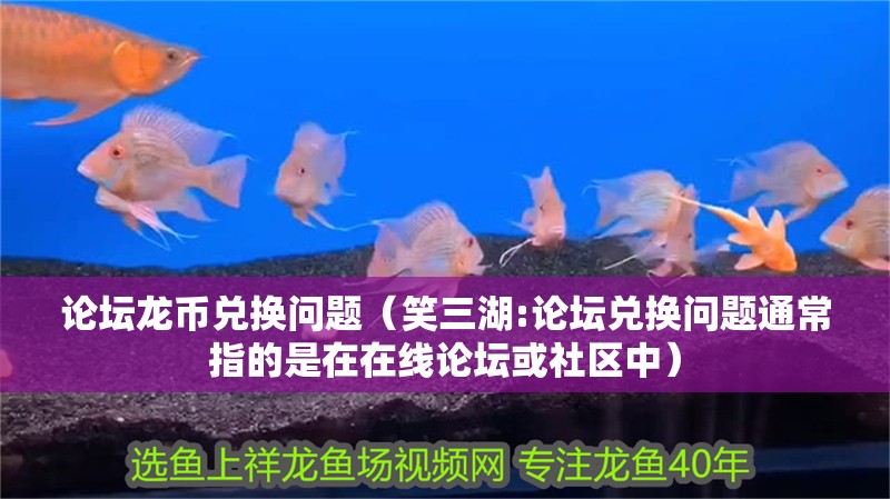 論壇龍幣兌換問題（笑三湖:論壇兌換問題通常指的是在在線論壇或社區(qū)中）