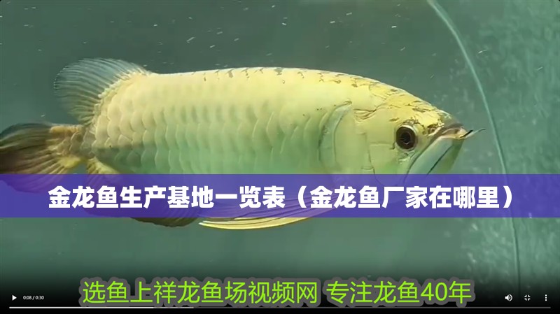 金龍魚生產(chǎn)基地一覽表（金龍魚廠家在哪里）
