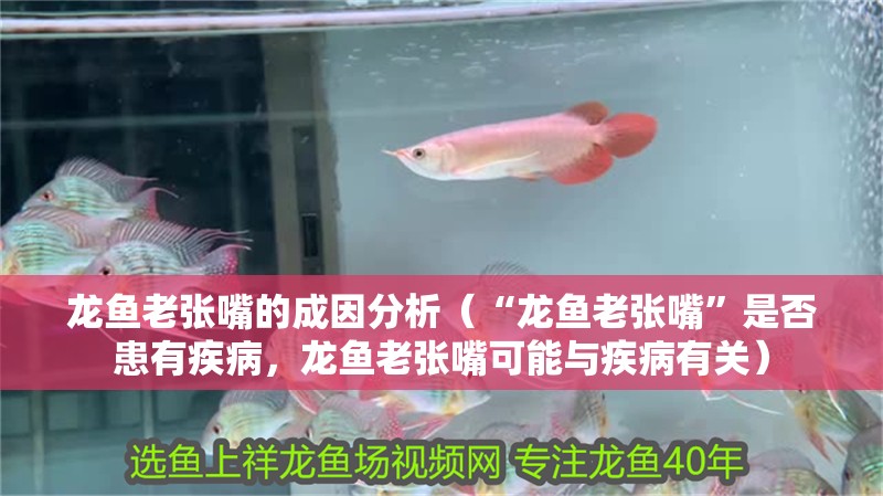 龍魚(yú)老張嘴的成因分析（“龍魚(yú)老張嘴”是否患有疾病，龍魚(yú)老張嘴可能與疾病有關(guān)）
