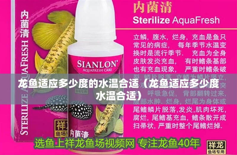 龍魚適應(yīng)多少度的水溫合適（龍魚適應(yīng)多少度水溫合適）