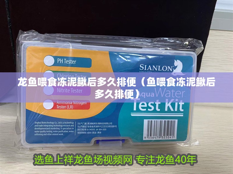 龍魚喂食凍泥鰍后多久排便（魚喂食凍泥鰍后多久排便）