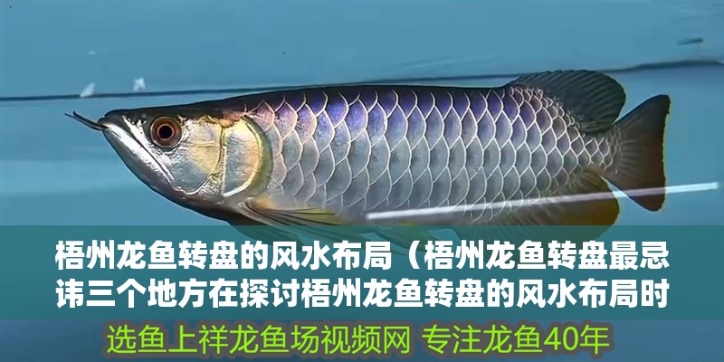 梧州龍魚轉(zhuǎn)盤的風(fēng)水布局（梧州龍魚轉(zhuǎn)盤最忌諱三個地方在探討梧州龍魚轉(zhuǎn)盤的風(fēng)水布局時）