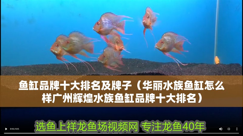魚缸品牌十大排名及牌子（華麗水族魚缸怎么樣廣州輝煌水族魚缸品牌十大排名）