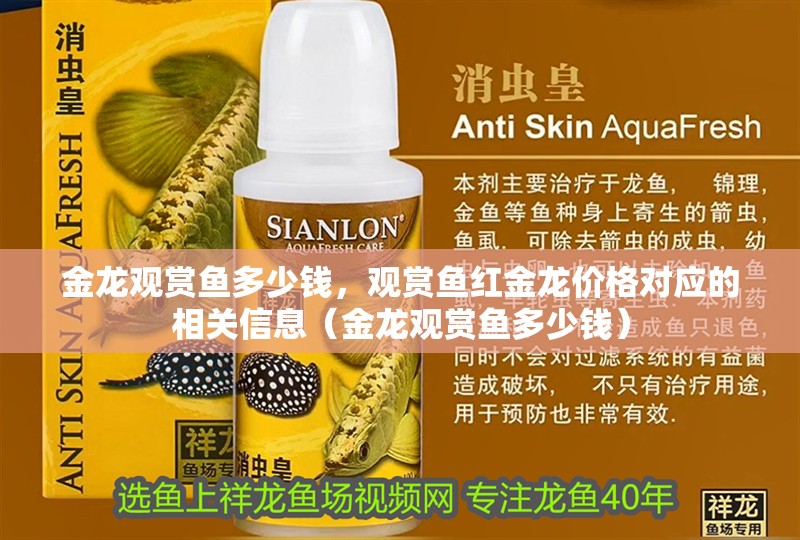 金龍觀賞魚多少錢，觀賞魚紅金龍價格對應的相關信息（金龍觀賞魚多少錢）