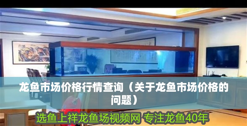 龍魚市場價格行情查詢（關于龍魚市場價格的問題）