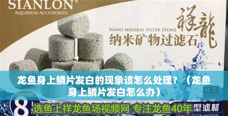 龍魚(yú)身上鱗片發(fā)白的現(xiàn)象該怎么處理？（龍魚(yú)身上鱗片發(fā)白怎么辦）