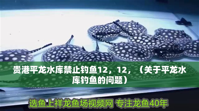 貴港平龍水庫禁止釣魚12，12，（關于平龍水庫釣魚的問題）