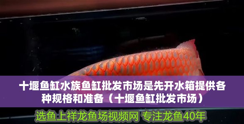 十堰魚缸水族魚缸批發市場是先開水箱提供各種規格和準備（十堰魚缸批發市場）