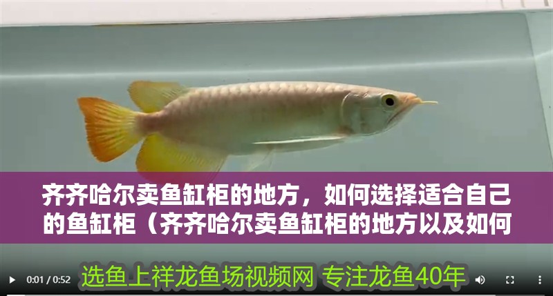齊齊哈爾賣魚缸柜的地方，如何選擇適合自己的魚缸柜（齊齊哈爾賣魚缸柜的地方以及如何選擇適合自己的魚缸柜）