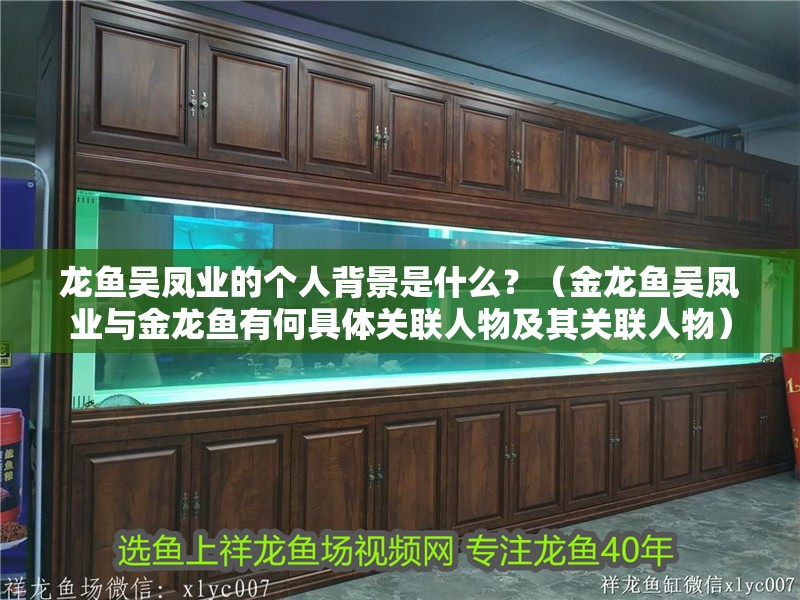 龍魚吳鳳業的個人背景是什么？（金龍魚吳鳳業與金龍魚有何具體關聯人物及其關聯人物）