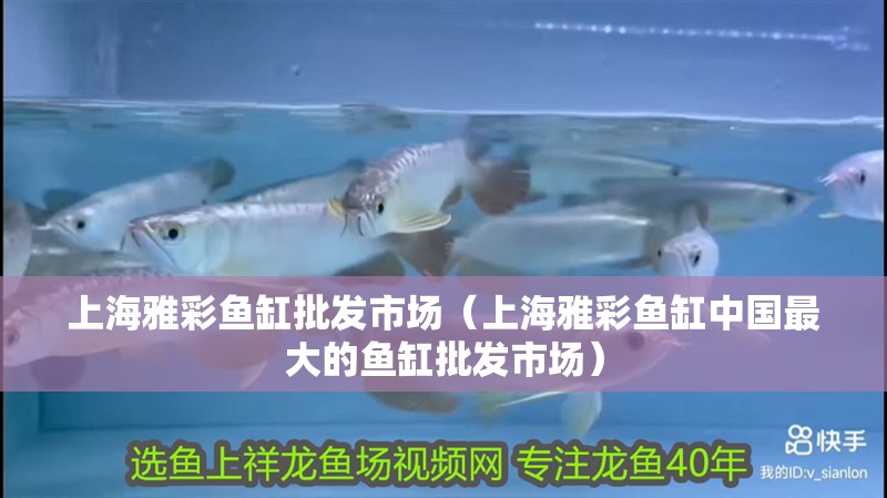 上海雅彩魚缸批發市場（上海雅彩魚缸中國最大的魚缸批發市場）