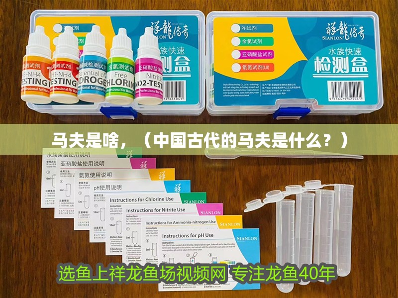 馬夫是啥，（中國古代的馬夫是什么？）