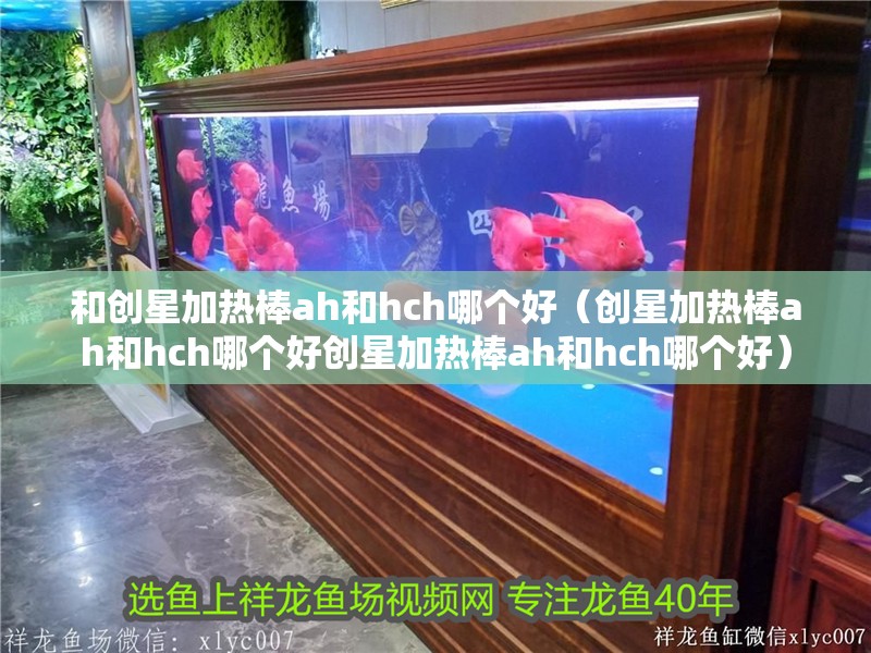 和創(chuàng)星加熱棒ah和hch哪個(gè)好（創(chuàng)星加熱棒ah和hch哪個(gè)好創(chuàng)星加熱棒ah和hch哪個(gè)好）