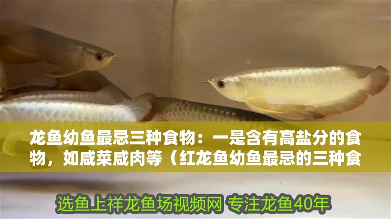 龍魚幼魚最忌三種食物：一是含有高鹽分的食物，如咸菜咸肉等（紅龍魚幼魚最忌的三種食物）