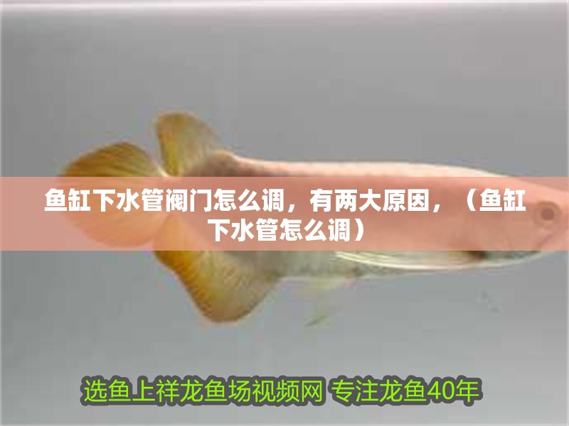 魚缸下水管閥門怎么調，有兩大原因，（魚缸下水管怎么調）