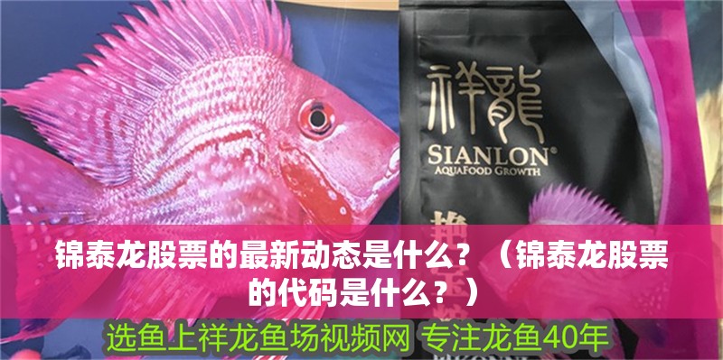 錦泰龍股票的最新動態(tài)是什么？（錦泰龍股票的代碼是什么？）
