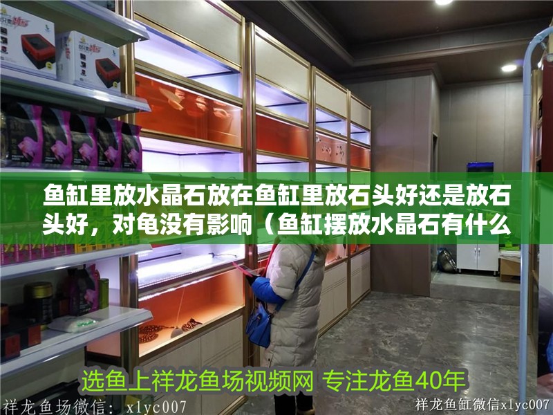 魚(yú)缸里放水晶石放在魚(yú)缸里放石頭好還是放石頭好，對(duì)龜沒(méi)有影響（魚(yú)缸擺放水晶石有什么講究？）