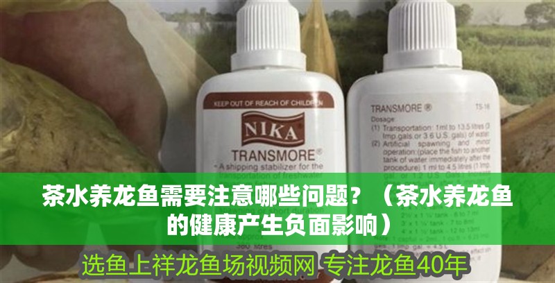 茶水養龍魚需要注意哪些問題？（茶水養龍魚的健康產生負面影響）