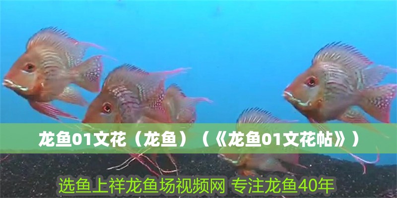 龍魚(yú)01文花（龍魚(yú)）（《龍魚(yú)01文花帖》）