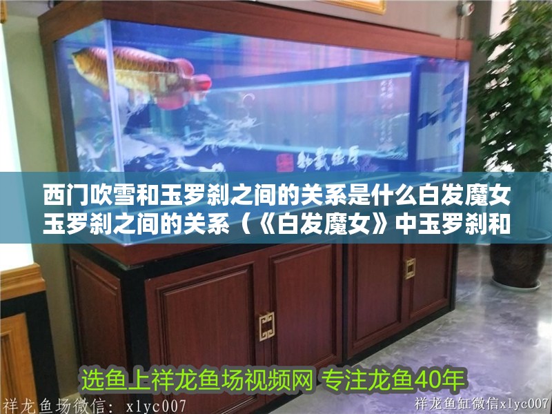 西門吹雪和玉羅剎之間的關系是什么白發魔女玉羅剎之間的關系（《白發魔女》中玉羅剎和陸小鳳之間的關系是什么？）