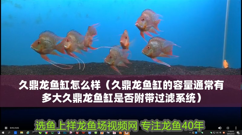 久鼎龍魚缸怎么樣（久鼎龍魚缸的容量通常有多大久鼎龍魚缸是否附帶過濾系統(tǒng)）