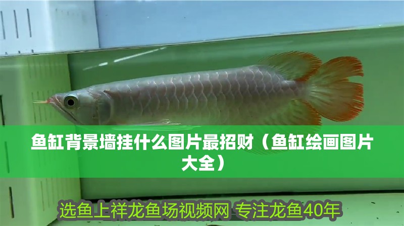 魚缸背景墻掛什么圖片最招財（魚缸繪畫圖片大全）