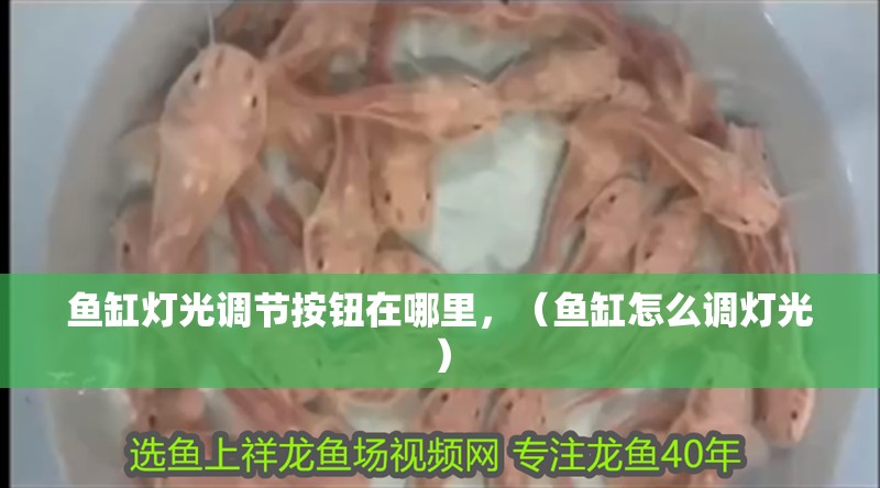 魚缸燈光調節按鈕在哪里，（魚缸怎么調燈光）