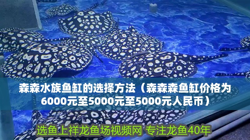 森森水族魚缸的選擇方法（森森森魚缸價格為6000元至5000元至5000元人民幣） 森森水族魚缸的選擇方法（森森森魚缸價格為6000元至5000元至5000元人民幣） 觀賞魚百科