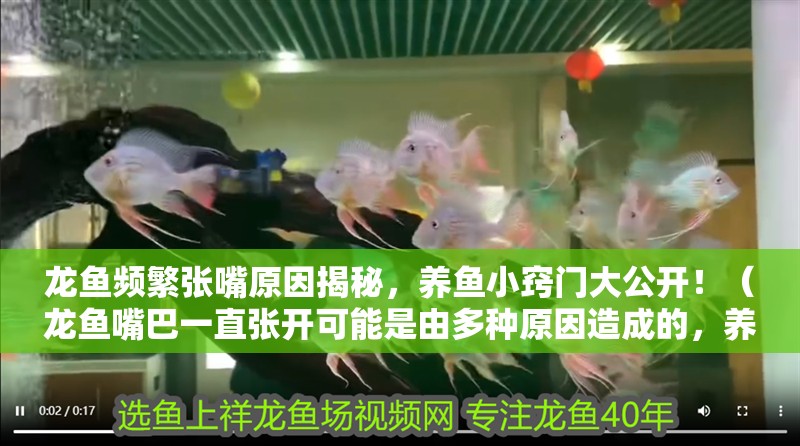 龍魚頻繁張嘴原因揭秘,養魚小竅門大公開!(龍魚嘴巴一直張開可能是由多種原因造成的,養魚小竅門大公開)