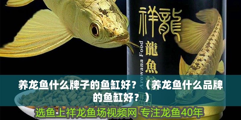養(yǎng)龍魚什么牌子的魚缸好？（養(yǎng)龍魚什么品牌的魚缸好？）