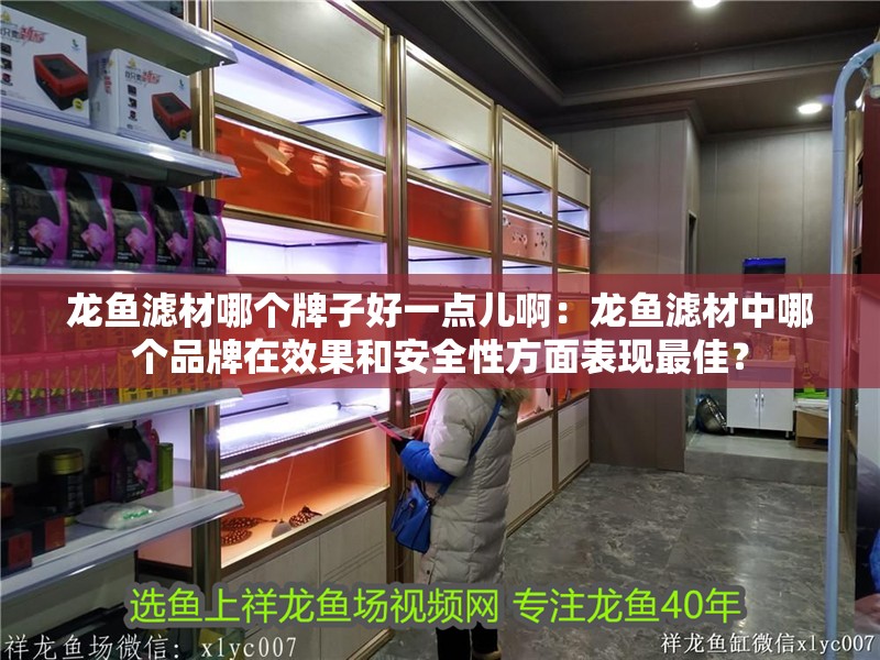 龍魚濾材哪個牌子好一點兒啊：龍魚濾材中哪個品牌在效果和安全性方面表現最佳？