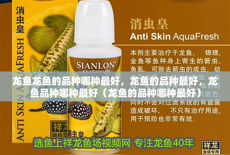 龍魚龍魚的品種哪種最好，龍魚的品種最好，龍魚品種哪種最好（龍魚的品種哪種最好）