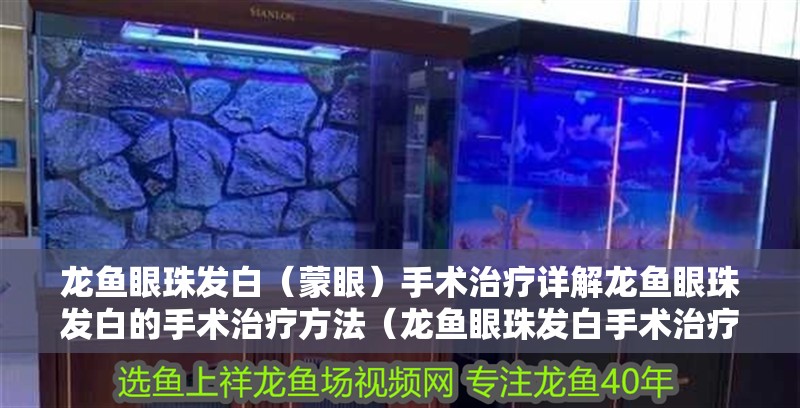 龍魚眼珠發白（蒙眼）手術治療詳解龍魚眼珠發白的手術治療方法（龍魚眼珠發白手術治療詳解）