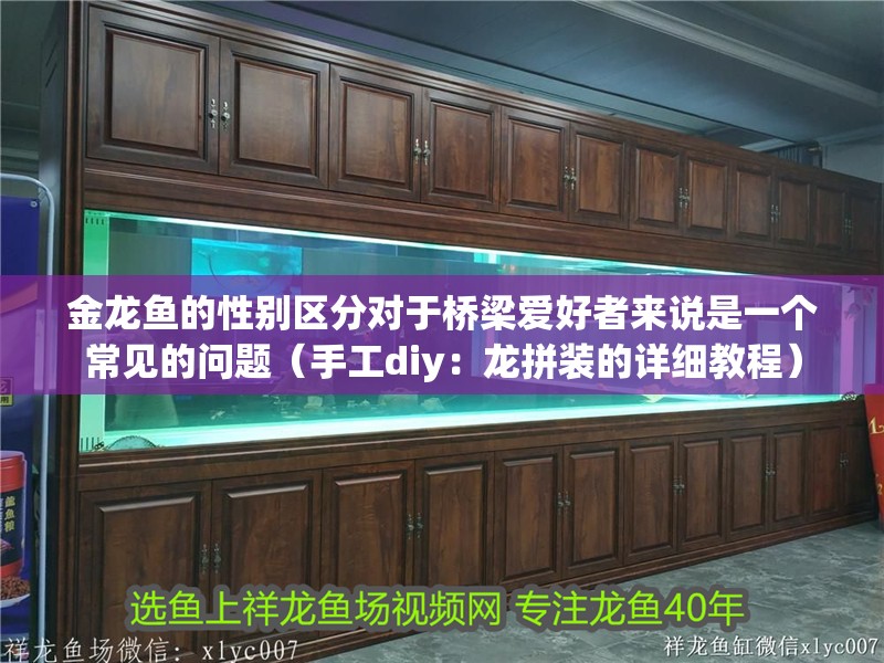 金龍魚的性別區分對于橋梁愛好者來說是一個常見的問題（手工diy：龍拼裝的詳細教程）