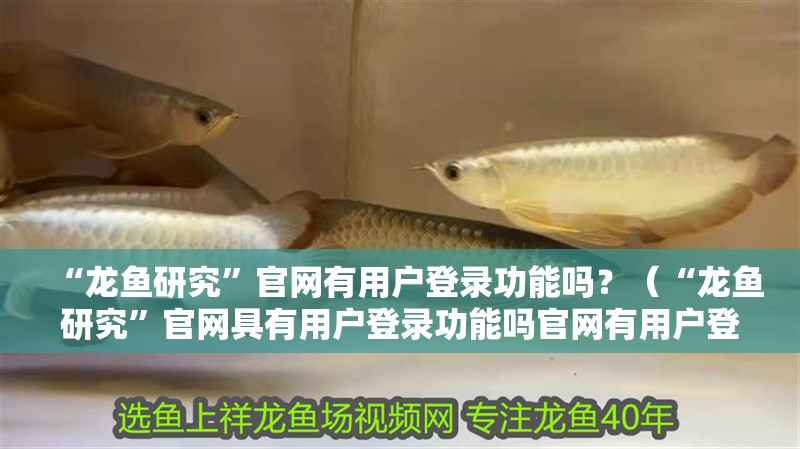 “龍魚研究”官網有用戶登錄功能嗎？（“龍魚研究”官網具有用戶登錄功能嗎官網有用戶登錄功能嗎）