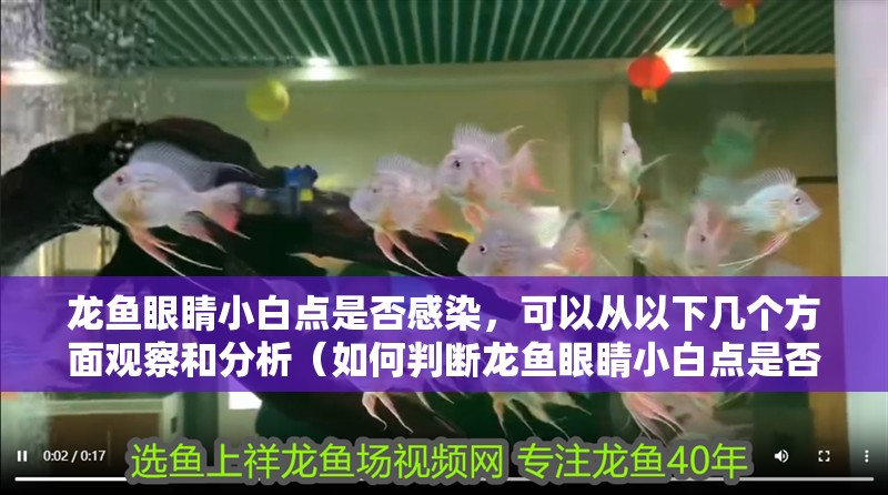 龍魚(yú)眼睛小白點(diǎn)是否感染，可以從以下幾個(gè)方面觀察和分析（如何判斷龍魚(yú)眼睛小白點(diǎn)是否感染）