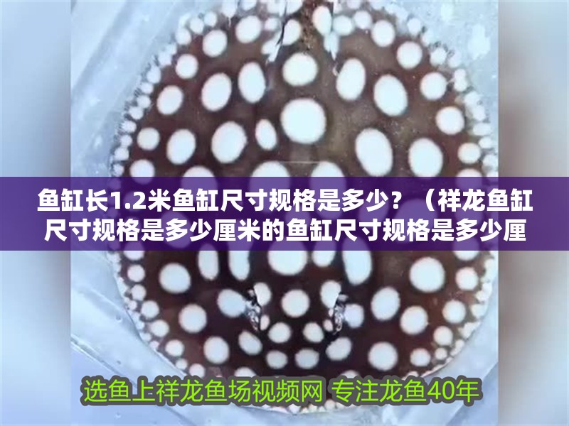 魚缸長1.2米魚缸尺寸規格是多少？（祥龍魚缸尺寸規格是多少厘米的魚缸尺寸規格是多少厘米的）
