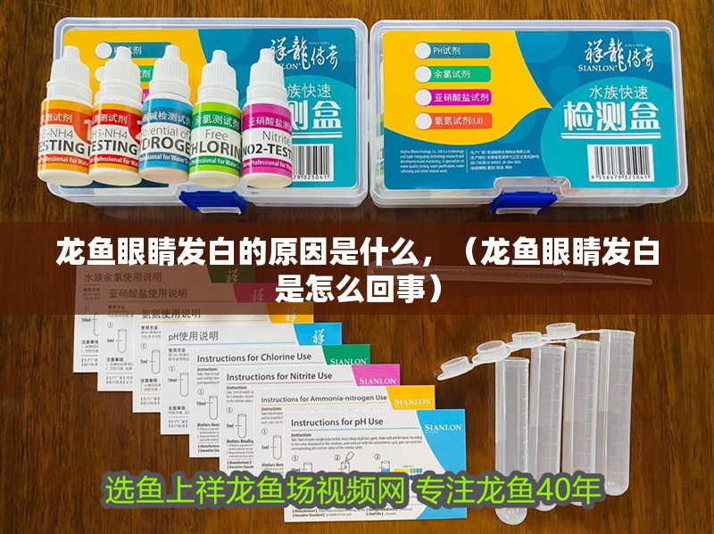 龍魚眼睛發白的原因是什么，（龍魚眼睛發白是怎么回事）
