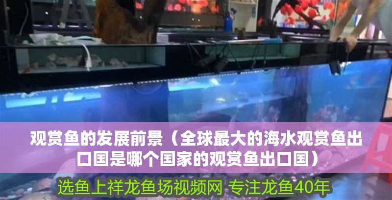 觀賞魚的發展前景（全球最大的海水觀賞魚出口國是哪個國家的觀賞魚出口國）