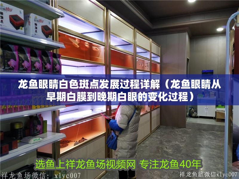 龍魚眼睛白色斑點發展過程詳解（龍魚眼睛從早期白膜到晚期白眼的變化過程）